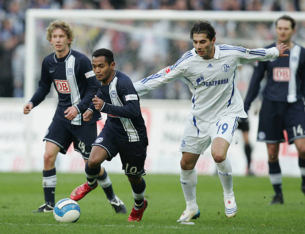 展现了极高 展现了极高